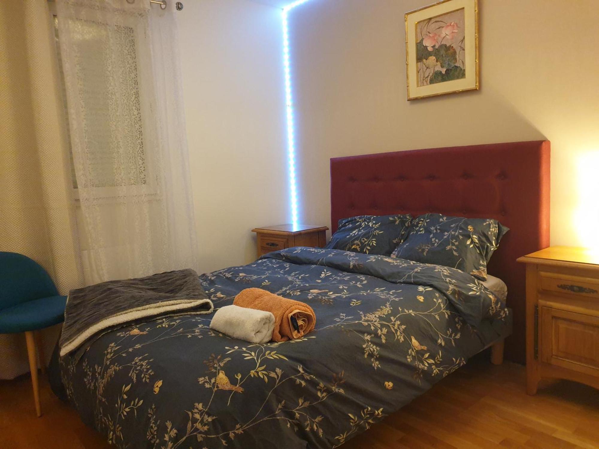 Spacieux Et Calme, Style Parisien, Toutes Commodites, Ideal Pour Un Sejour Authentique แซงต์-เดอนี ห้อง รูปภาพ